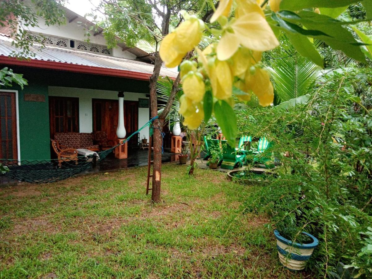 Sigiriya Village Home Stay Eksteriør bilde