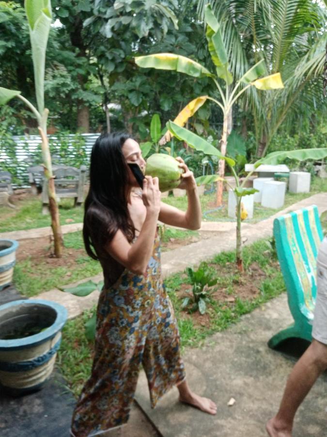 Sigiriya Village Home Stay Eksteriør bilde