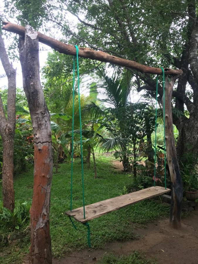 Sigiriya Village Home Stay Eksteriør bilde