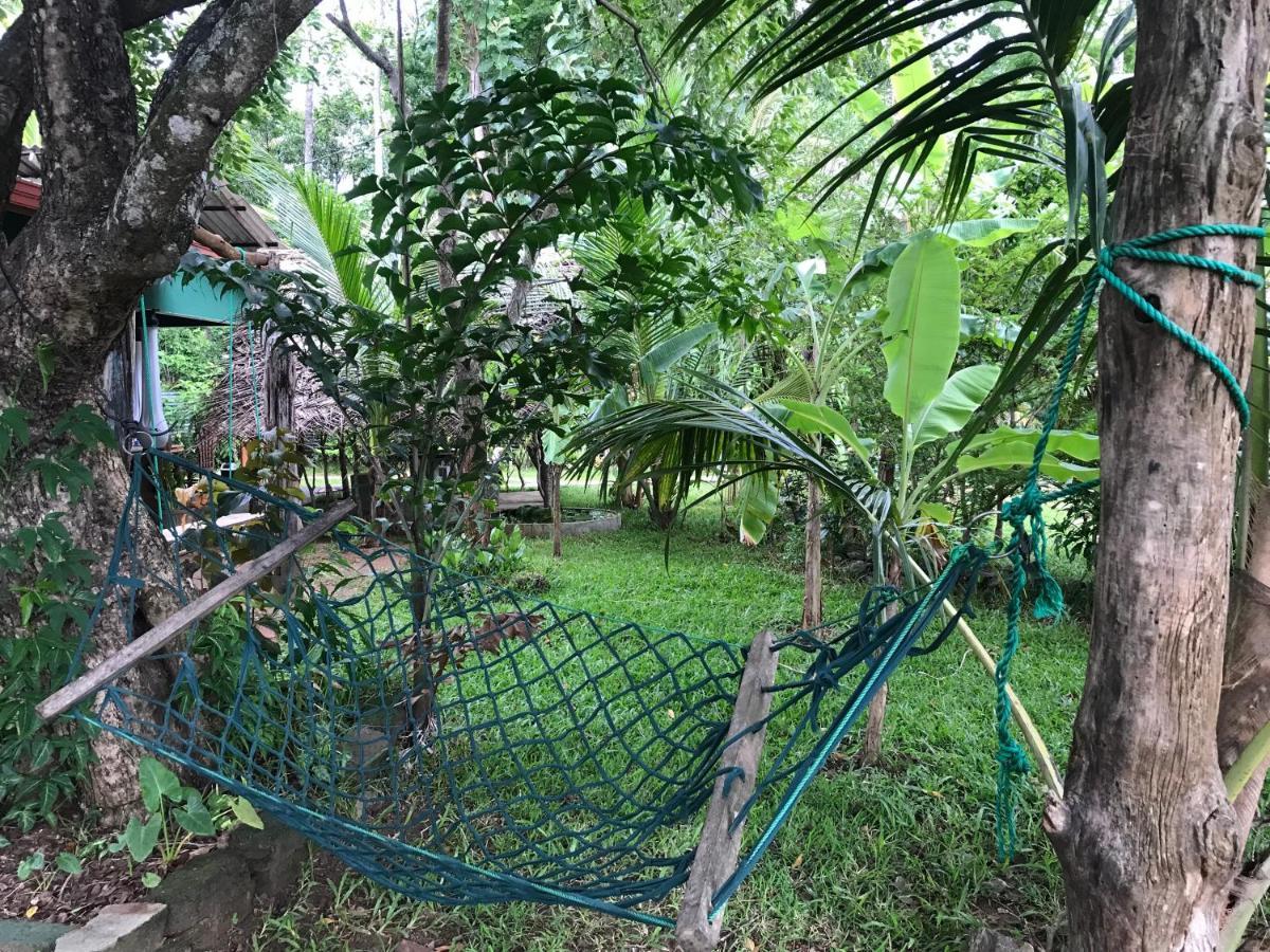 Sigiriya Village Home Stay Eksteriør bilde