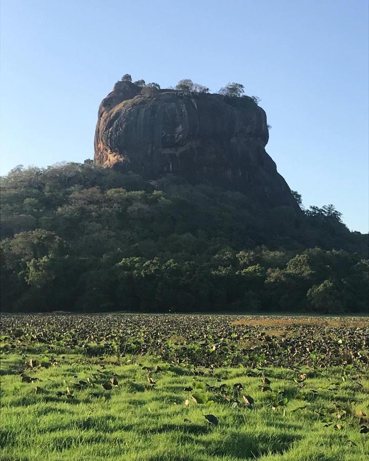 Sigiriya Village Home Stay Eksteriør bilde